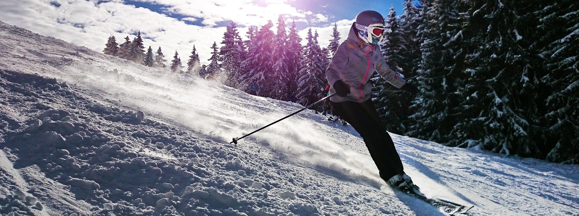 Obóz narciarsko-językowy