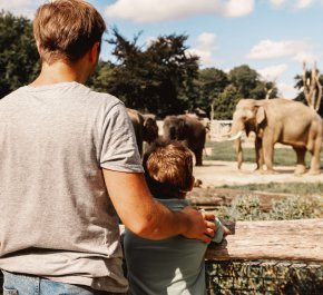 OGRÓD ZOOLOGICZNY WE WROCŁAWIU