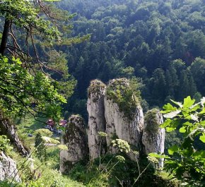 Zielona Szkoła- 5 dni Kraków- Zakopane- Bochnia